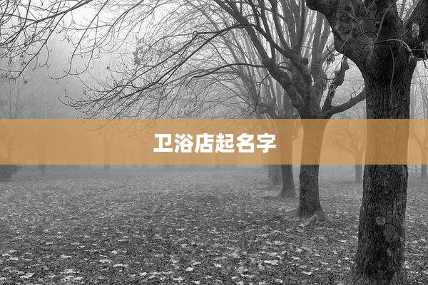 卫浴店起名字