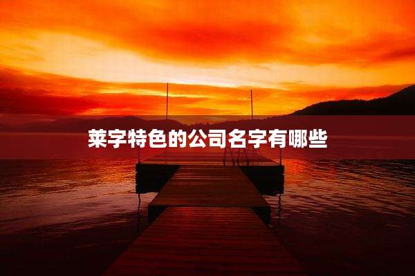 莱字特色的公司名字有哪些