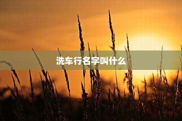 洗车行名字叫什么