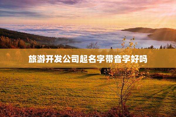 旅游开发公司起名字带音字好吗