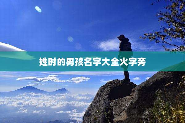 姓时的男孩名字大全火字旁