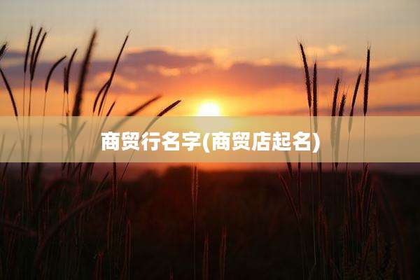 商贸行名字(商贸店起名)
