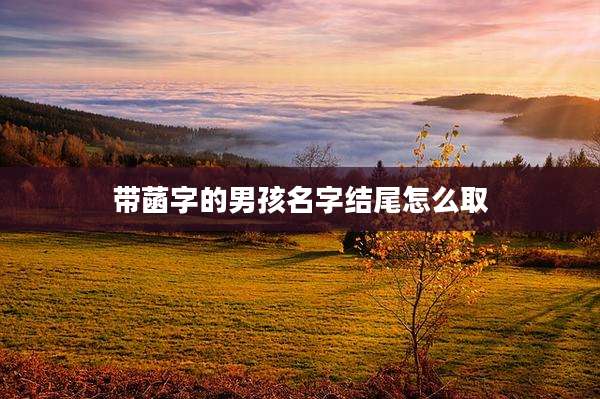 带菡字的男孩名字结尾怎么取