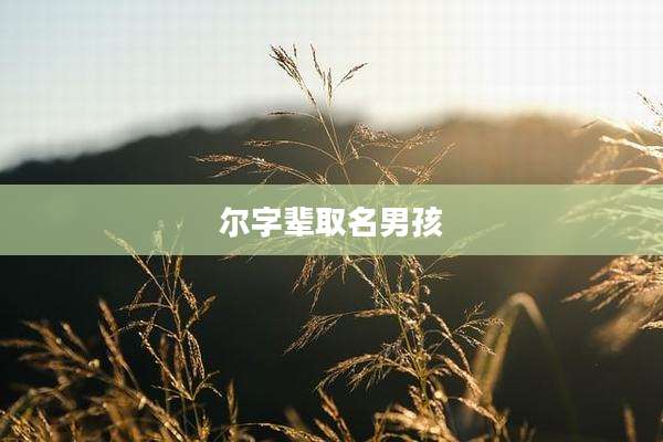 尔字辈取名男孩