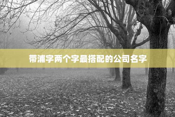 带浦字两个字最搭配的公司名字