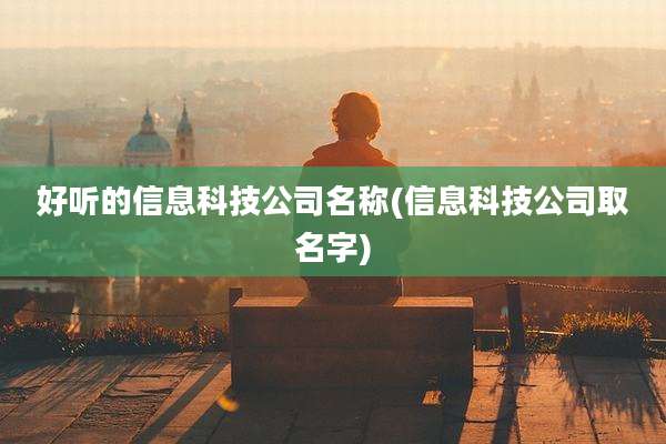 好听的信息科技公司名称(信息科技公司取名字)