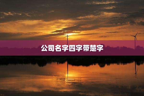 公司名字四字带楚字