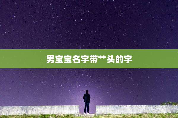 男宝宝名字带艹头的字