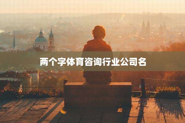 两个字体育咨询行业公司名