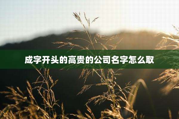 成字开头的高贵的公司名字怎么取