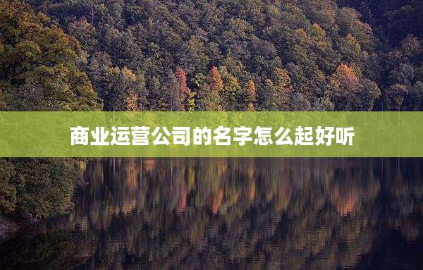 商业运营公司的名字怎么起好听