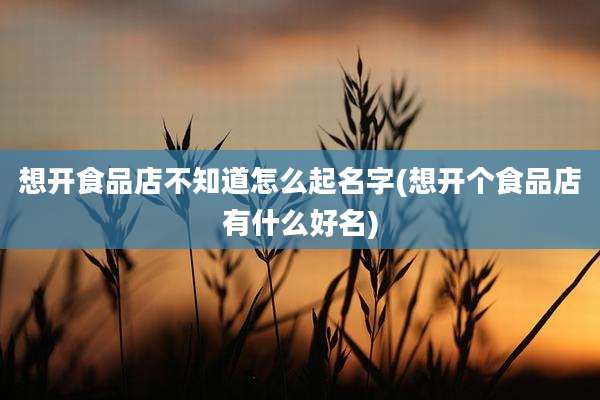 想开食品店不知道怎么起名字(想开个食品店有什么好名)