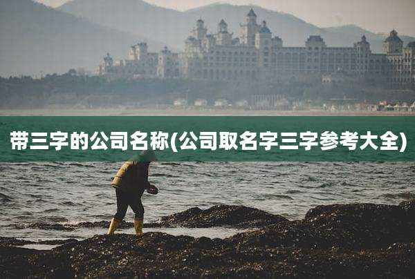 带三字的公司名称(公司取名字三字参考大全)