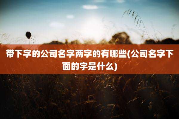 带下字的公司名字两字的有哪些(公司名字下面的字是什么)
