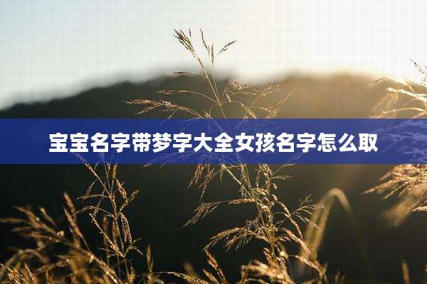 宝宝名字带梦字大全女孩名字怎么取