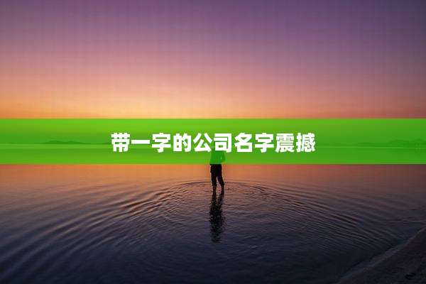 带一字的公司名字震撼