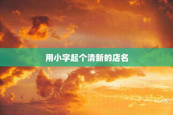 用小字起个清新的店名