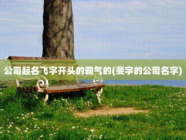 公司起名飞字开头的霸气的(斐字的公司名字)
