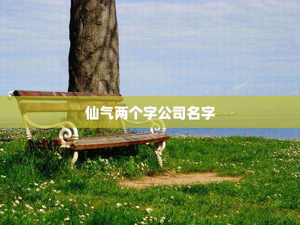 仙气两个字公司名字