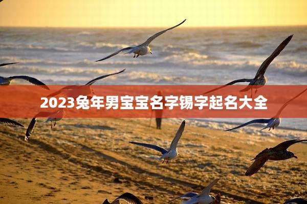 2023兔年男宝宝名字锡字起名大全