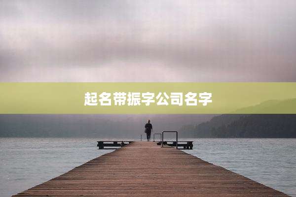 起名带振字公司名字