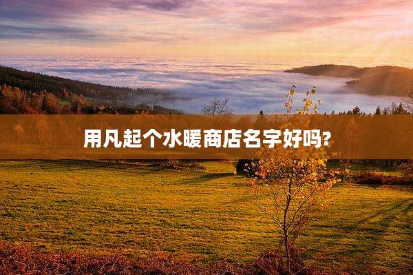 用凡起个水暖商店名字好吗?