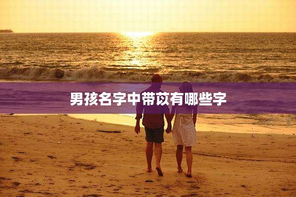 男孩名字中带苡有哪些字