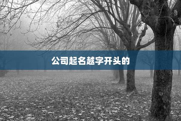 公司起名越字开头的