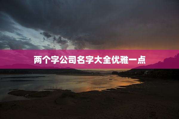 两个字公司名字大全优雅一点