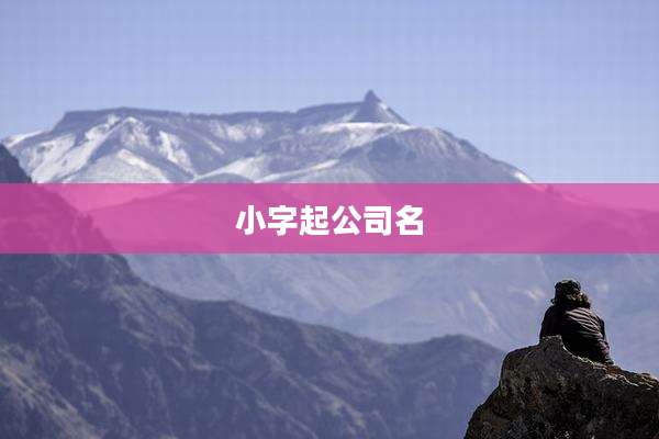 小字起公司名