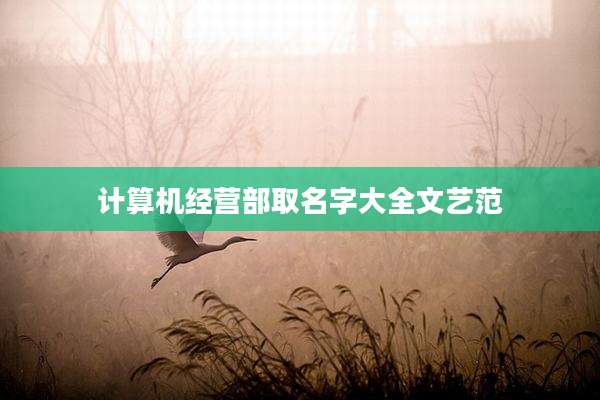 计算机经营部取名字大全文艺范