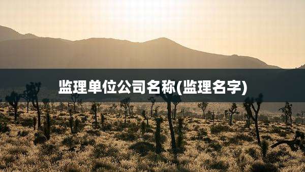 监理单位公司名称(监理名字)