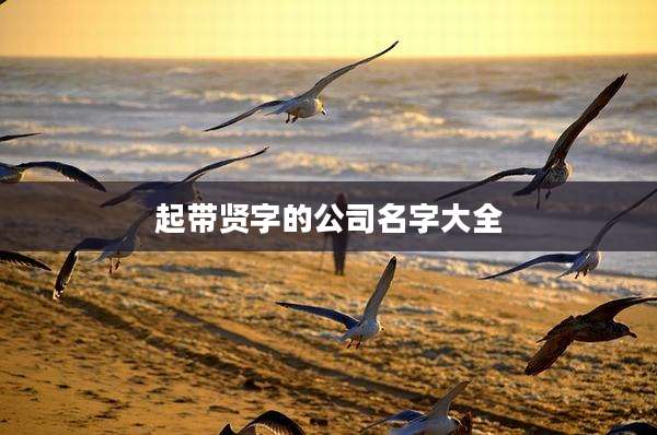 起带贤字的公司名字大全