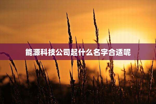 能源科技公司起什么名字合适呢