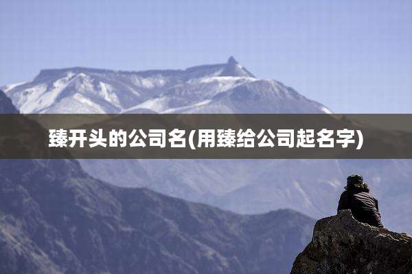 臻开头的公司名(用臻给公司起名字)