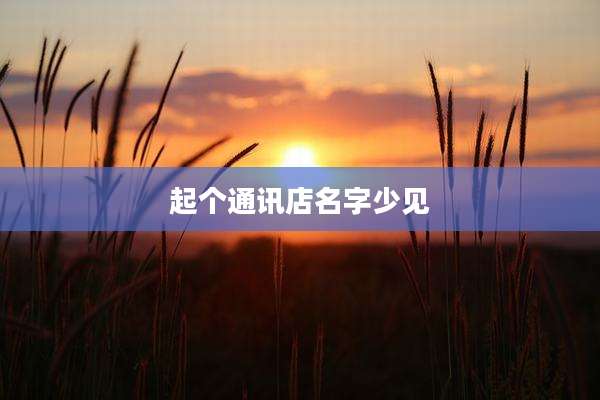 起个通讯店名字少见