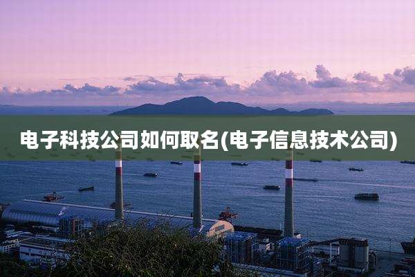电子科技公司如何取名(电子信息技术公司)