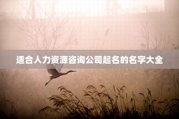 适合人力资源咨询公司起名的名字大全