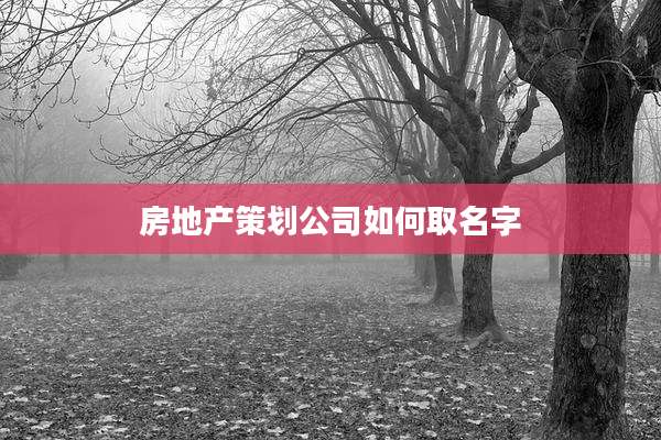 房地产策划公司如何取名字