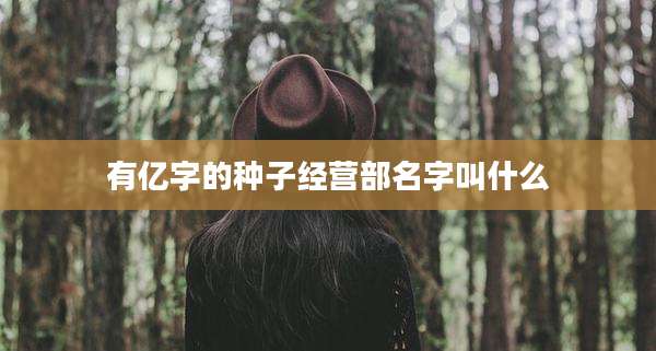 有亿字的种子经营部名字叫什么