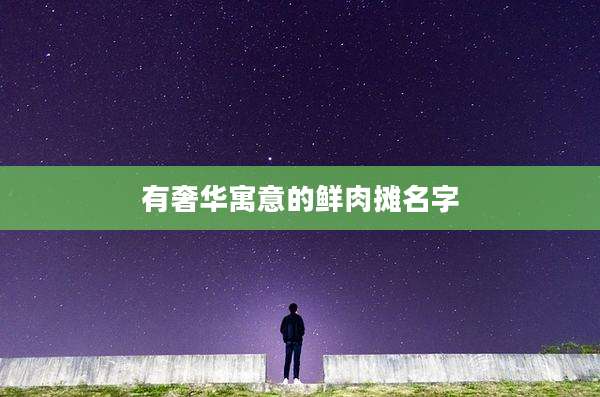 有奢华寓意的鲜肉摊名字