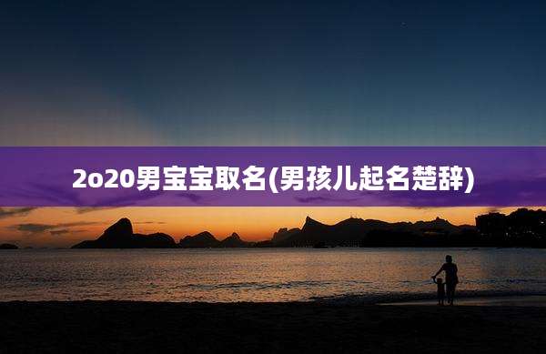 2o20男宝宝取名(男孩儿起名楚辞)