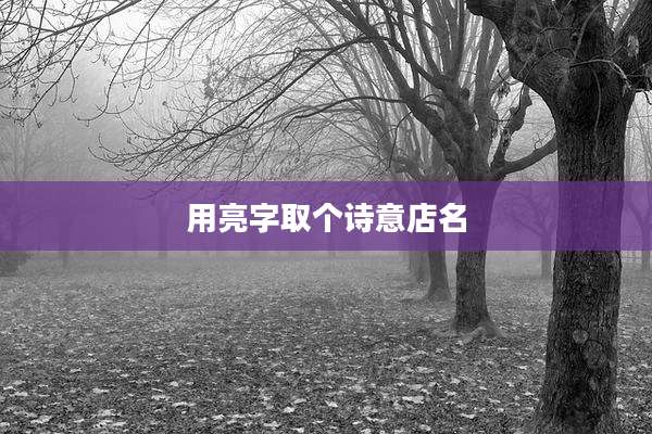 用亮字取个诗意店名