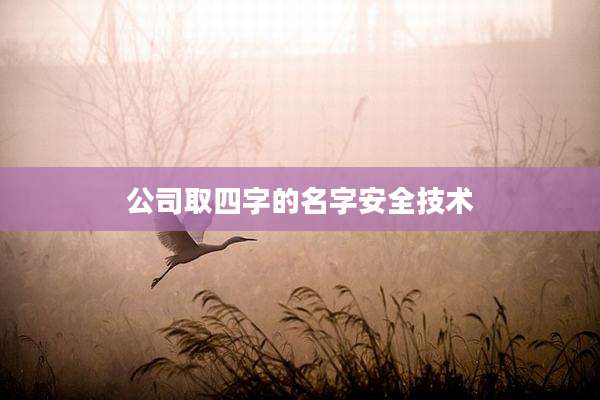 公司取四字的名字安全技术