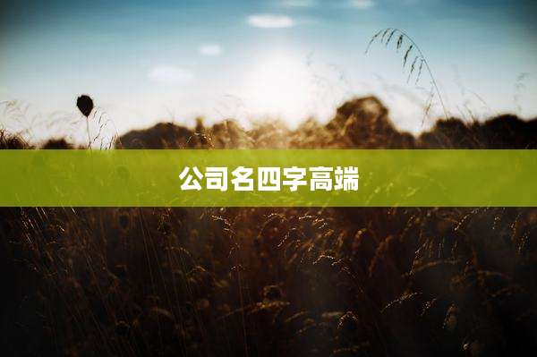 公司名四字高端