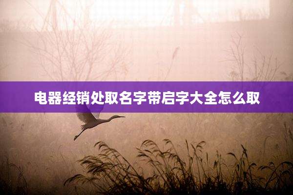 电器经销处取名字带启字大全怎么取