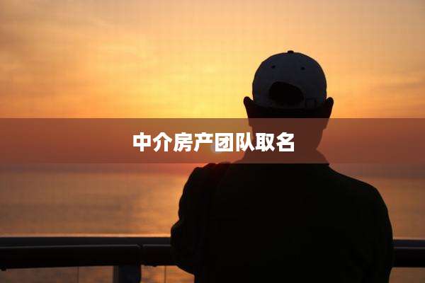 中介房产团队取名