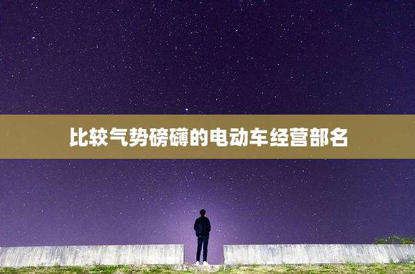 比较气势磅礴的电动车经营部名