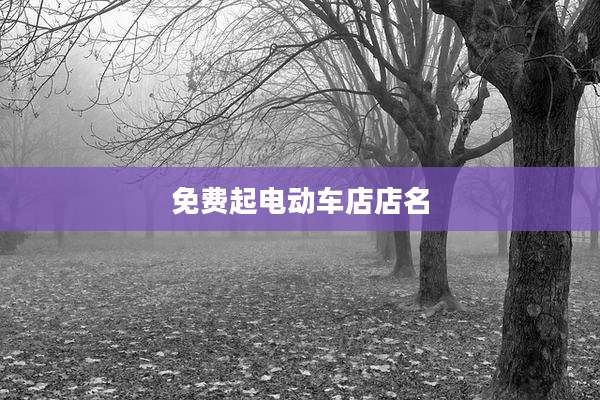 免费起电动车店店名