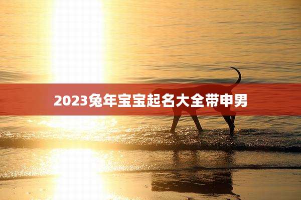 2023兔年宝宝起名大全带申男